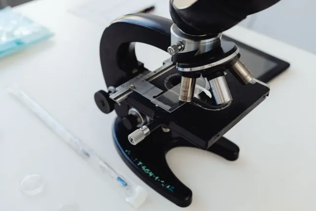 IVF laboratory
