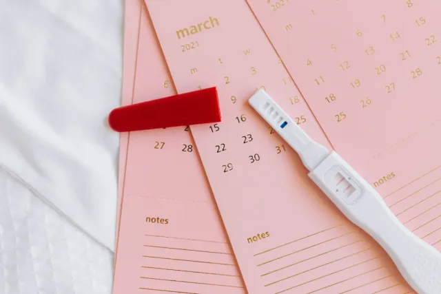 Calendar and pregnancy test
